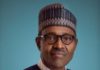 Buhari To Send Long-awaited Oil Reform Bill to Senate – Reuters