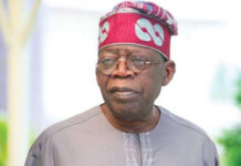 WIN for the Future: The Fibre Optic Dream That Predated Tinubu