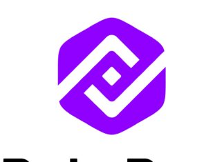 PalmPay’s MD Chika Nwosu Calls for Deeper Financial Inclusion at CeBIH Annual Conference 2025